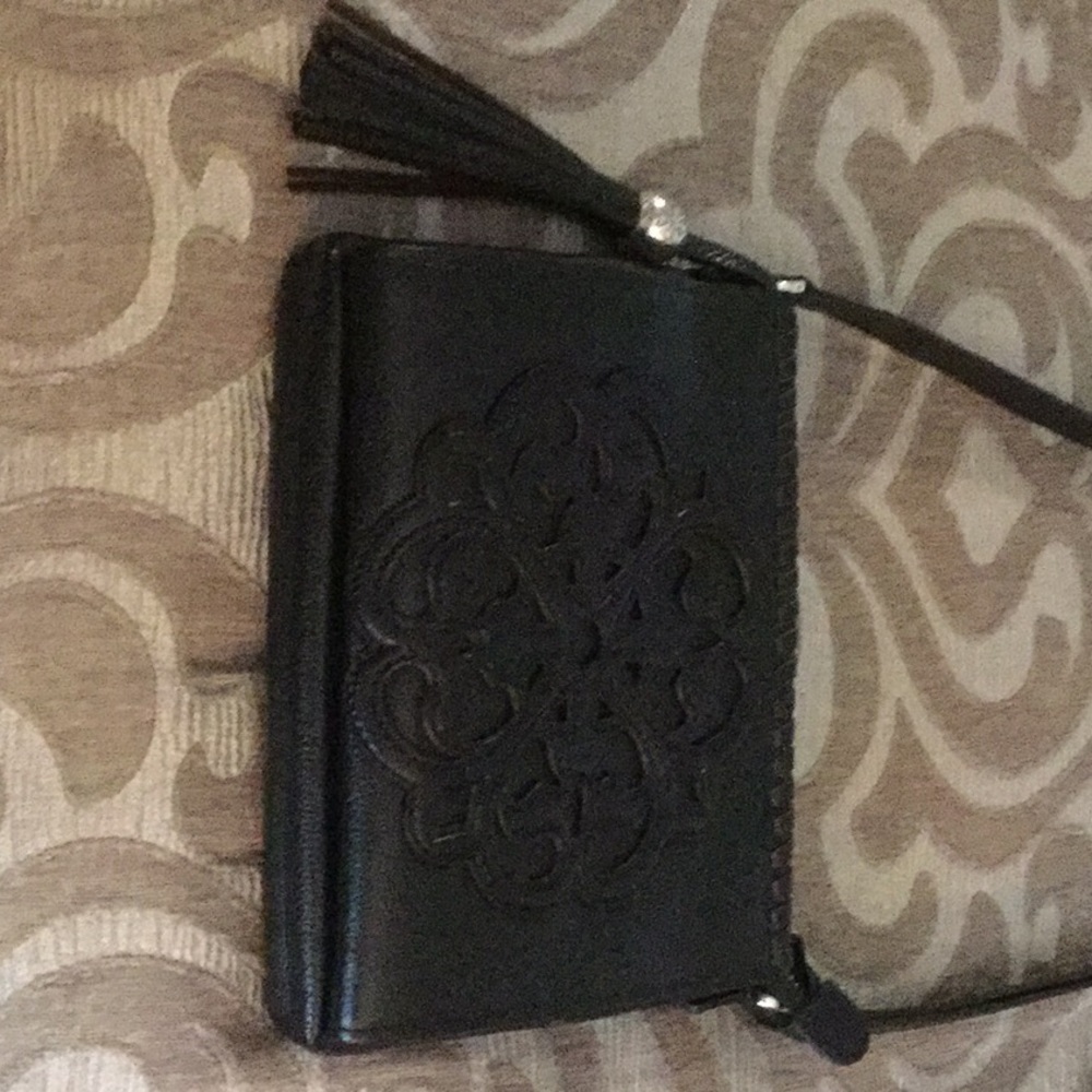 Brighton Ferrara City Organizer